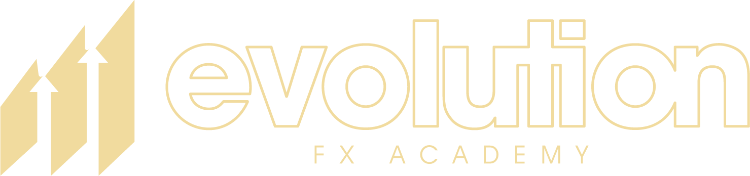 Logo evolution